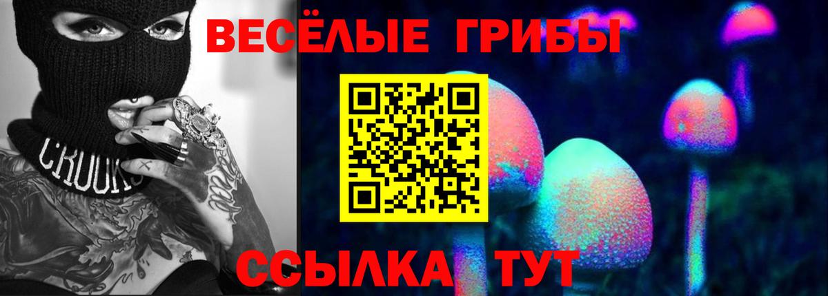 Галлюциногенные грибы Psilocybine cubensis  Вход с VPN  Псилоцибиновые грибы MAGIC MUSHROOMS  Кирово-Чепецк 